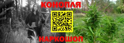 индика Рузаевка