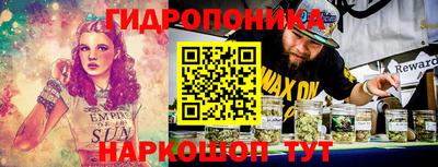 индика Рузаевка