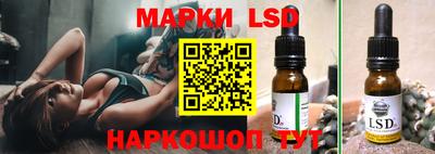 индика Рузаевка