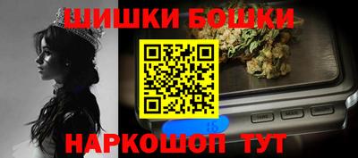 индика Рузаевка