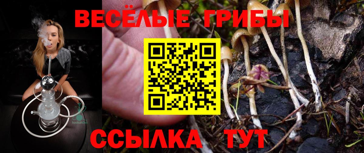 Галлюциногенные грибы Magic Shrooms  Вход с VPN  наркошоп  Петропавловск-Камчатский 