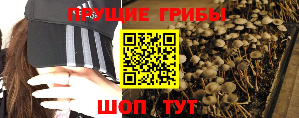 LSD-25  ГАШИШ  Вход с VPN  Петропавловск-Камчатский  Cocaine  Меф МЯУ МЯУ кристаллы 