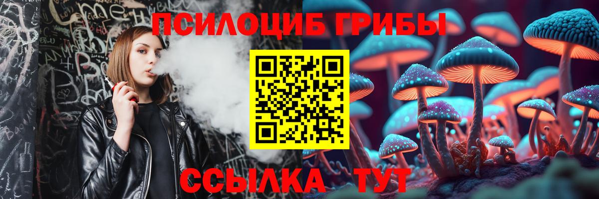 Галлюциногенные грибы Magic Shrooms Петропавловск-Камчатский